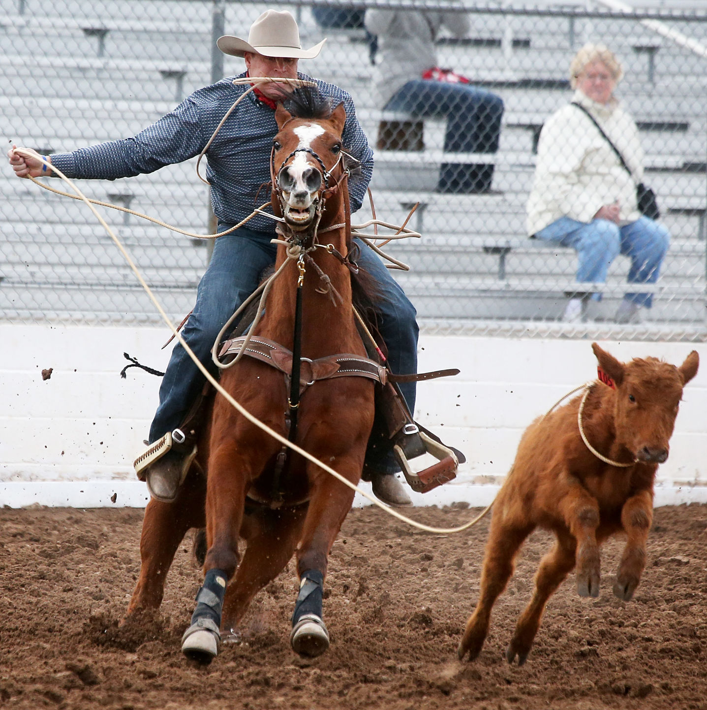 2018 Tucson Rodeo